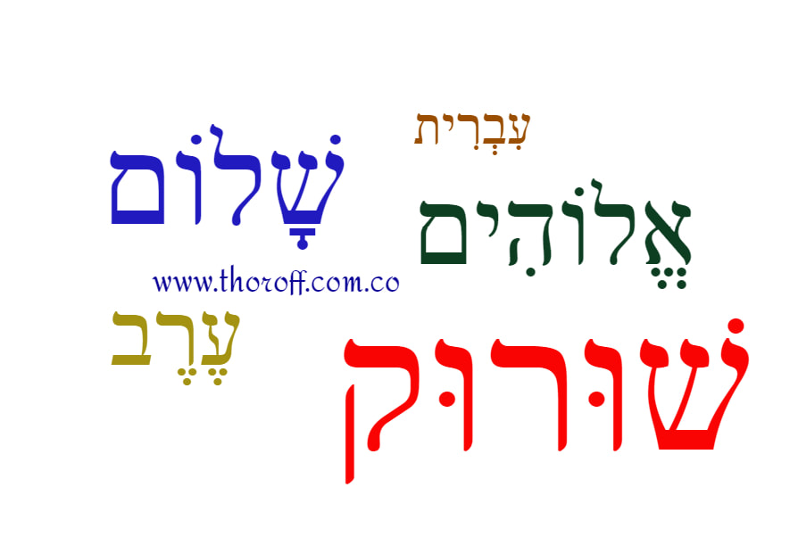 Palabras hebreo con nikud Shalom erev nikud Elohim shuruq shuruk ivrit
